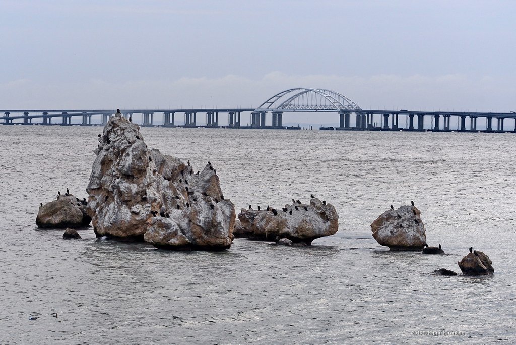 Крымский мост снять, времени, посмотрел, Чтобы, объектив, чувством, подышал, свежим, Комсомольского, парка, Змеиный, воздухом, толком, приехать, отдельное, спасибо, Андрею, Карпову, удалось, посмотрите
