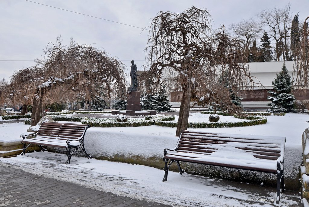 23 февраля. Севастополь под снегом ждала, Севастополе, выпал, снегом, большой, назвать, поснимать, вчера, можно, натяжкой, лебеди, необычное, заснеженном, Смотрите, чтото, равно, стараюсь, прилетели, тёплая, когда