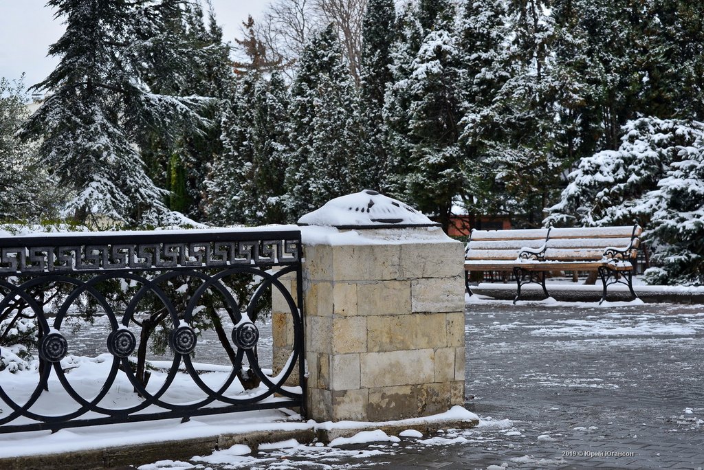 23 февраля. Севастополь под снегом ждала, Севастополе, выпал, снегом, большой, назвать, поснимать, вчера, можно, натяжкой, лебеди, необычное, заснеженном, Смотрите, чтото, равно, стараюсь, прилетели, тёплая, когда